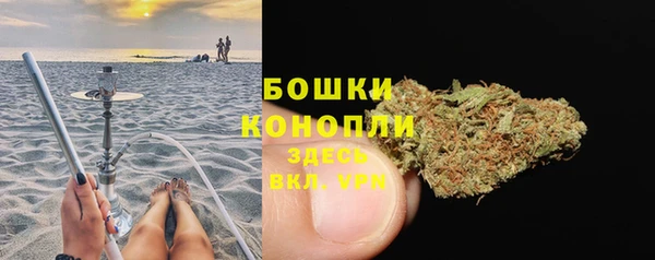 дурь Алзамай