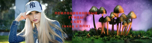 эйфоретик Алексеевка