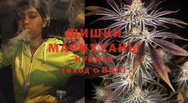дурь Алзамай
