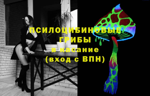 дурь Алзамай